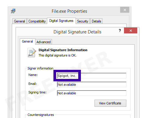 Screenshot of the Spigot, Inc. certificate